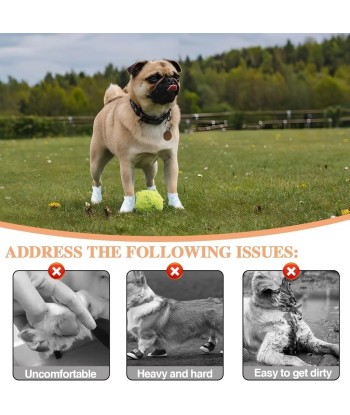 Buty dla Psa Wodoodporne Rozm. M (40 szt.) + Bandaże | vandoro.pl