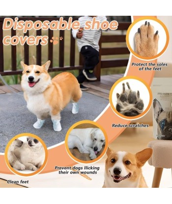 Buty dla Psa Wodoodporne Rozm. M (40 szt.) + Bandaże | vandoro.pl